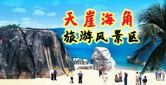 白虎高湖网站海南三亚-天崖海角旅游风景区